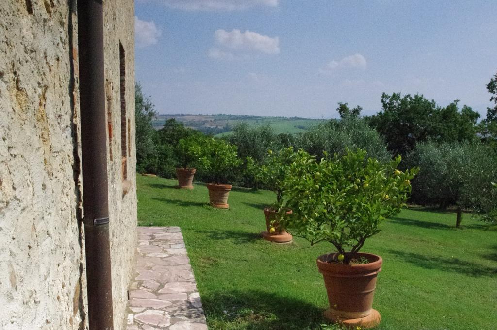 Agriturismo Cerreto Pienza Exteriér fotografie