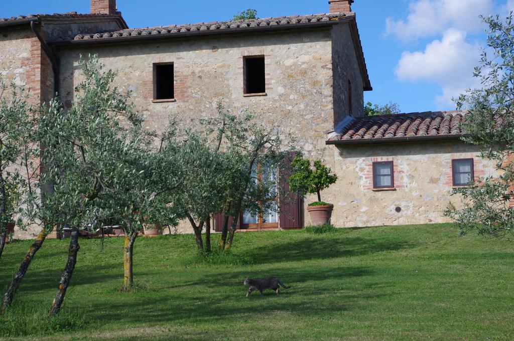 Agriturismo Cerreto Pienza Exteriér fotografie