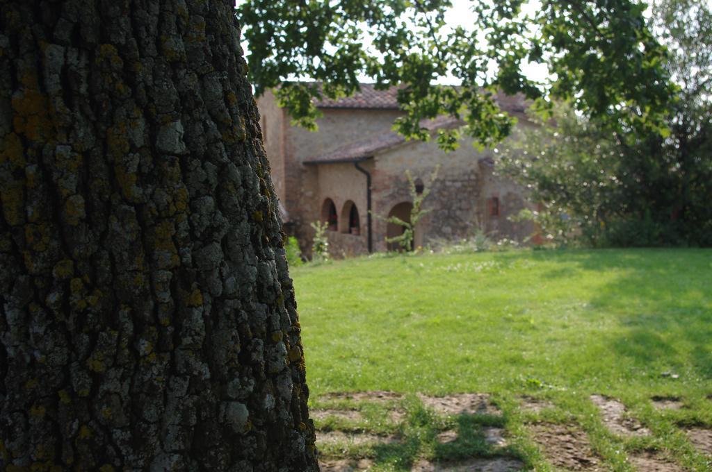 Agriturismo Cerreto Pienza Exteriér fotografie