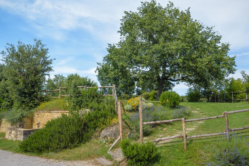 Agriturismo Cerreto Pienza Exteriér fotografie