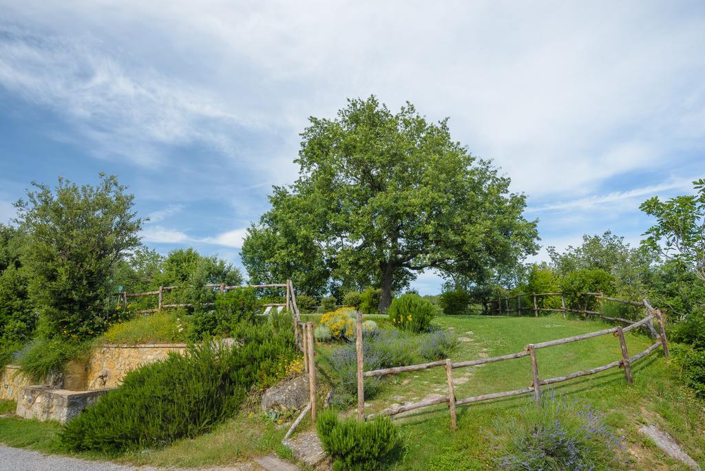 Agriturismo Cerreto Pienza Exteriér fotografie